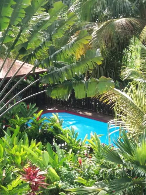 Ti Plèn Kréol nature piscine guadeloupe Pointe Noire