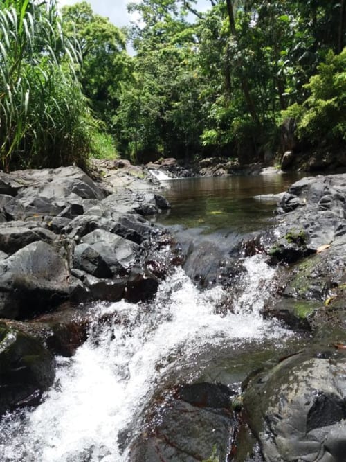 Ti Plèn Kréol  gîte vue rivière guadeloupe Pointe Noire