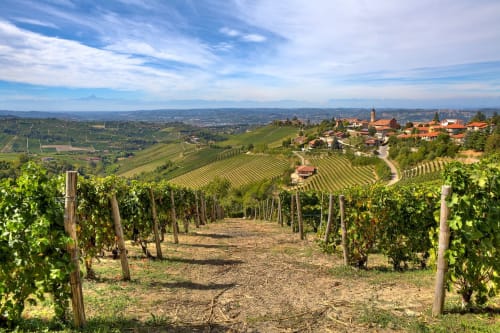 All’ombra del castello | Cigliè, Cuneo, Langhe