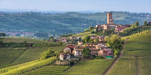 All’ombra del castello | Cigliè, Cuneo, Langhe