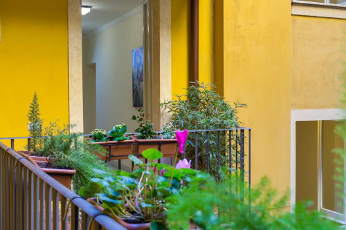 Zefiro Home - Roma Centro - B&B, Bed and Breakfast, Affittacamere, Guesthouse