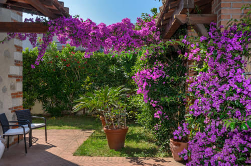 Villa il Fortino - Lido di Camaiore, Lucca