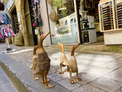 Ruelle dans la cité médiévale-Sarlat-boutique de souvenirs-oies-décoration