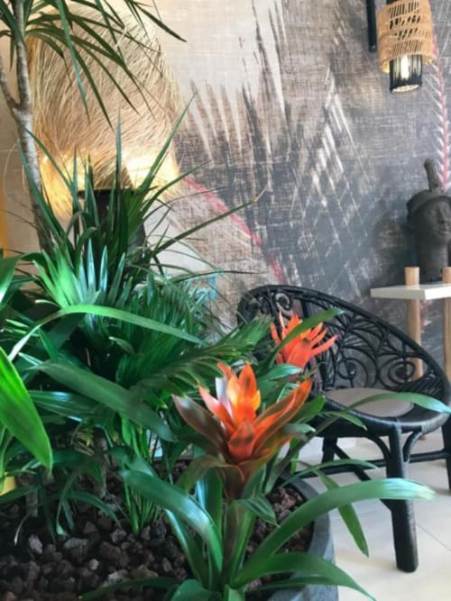 Plant. La Suite. Escapades Lointaines. Bed and breakfast. Perpignan.