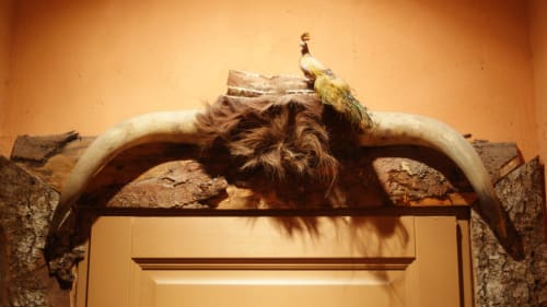 decoration. Kirghize night. Rooms. Hotel particulier de Digoine. Bed and breakfast and apartment. Bourg-Saint-Andéol. Ardèche.