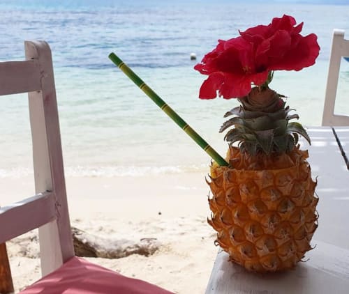 pina colada ananas plage île Sainte Marie Madagascar Ecolodge le Ravoraha