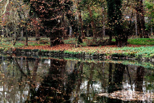 Rambouillet - foret - alentours 