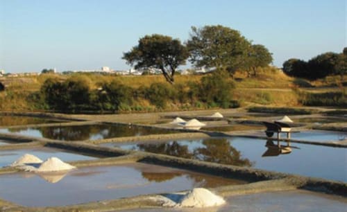 Salt marshes with evaporation ponds near Hôtel Maison Richet, Les Sables-d'Olonne, France