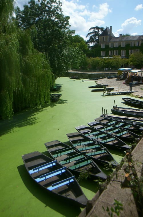 Rowboats on green canal water at Hôtel Maison Richet, Les Sables-d'Olonne, with mansion and weeping willow