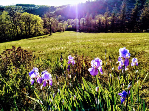 Gites coeur de lot - 5 hectares
