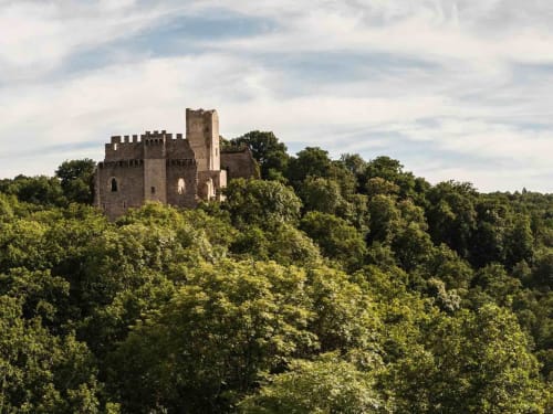 Castel - Jardin Des Lys - Saint Léonard de Noblat