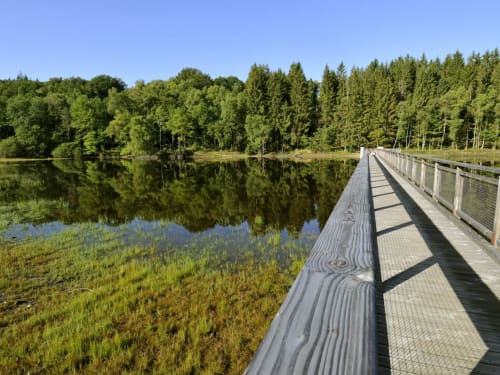 Bridge  - Jardin Des Lys - Saint Léonard de Noblat