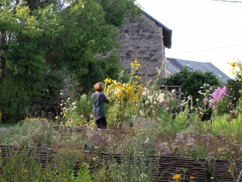 Garden - Jardin Des Lys - Saint Léonard de Noblat
