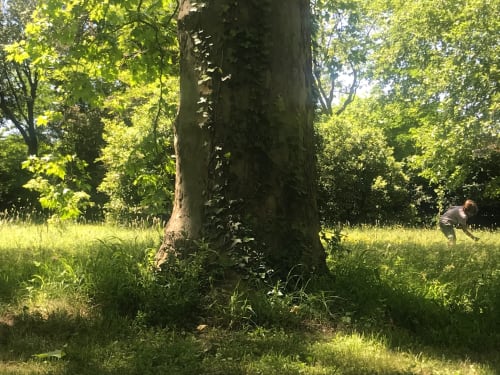 Under the trees. Domaine de Montlaur. Charming gites. Cathar country. Marianne Niermans.