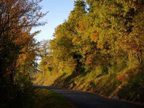 lepasdemoineau-route-Bugey-automne