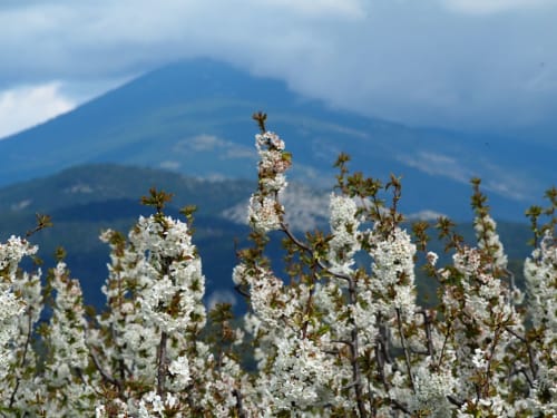 mas de la lause - mont ventoux - gîtes - alentours
