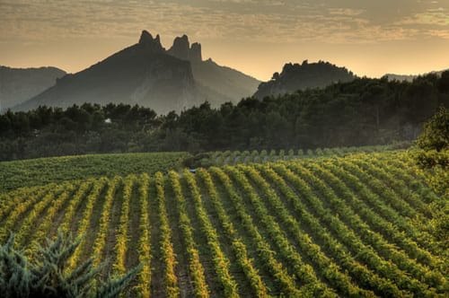le mas de la lause -provence - gîtes - massif des dentelles