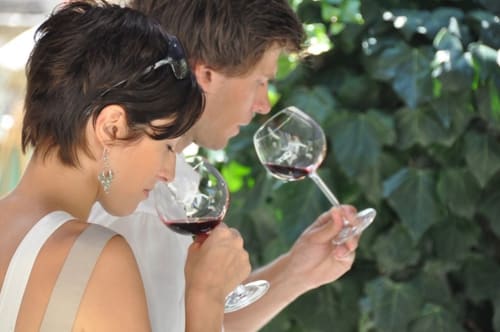 le mas de la lause -provence - gîtes - table d'hôtes - conviviale 
