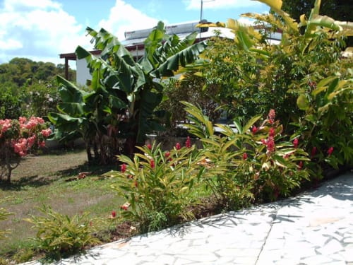 Plantes. Les Gîtes de l'Union. Locations d'appartements et chambres. Guadeloupe.