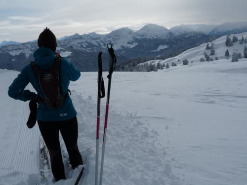 Skieur en veste bleue sur pente enneigée avec montagnes alpines et vallées boisées près de Queige
