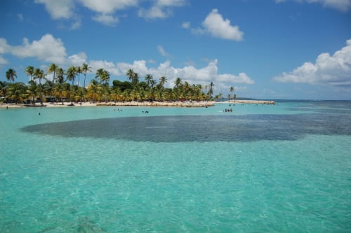 Plage. Les Gîtes de l'Union. Locations d'appartements et chambres. Guadeloupe.