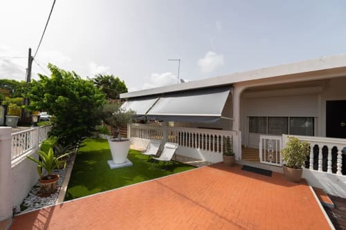 Jardin. Papaye. Locastudio. Locations Appartements. Guadeloupe.