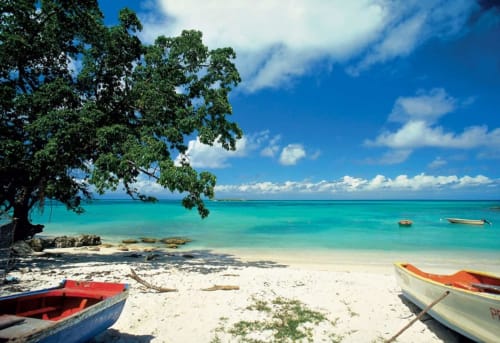 Barques. Locastudio. Locations Appartements. Guadeloupe. 