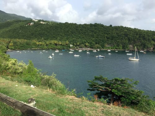 Bateaux. Locastudio. Locations Appartements. Guadeloupe. 