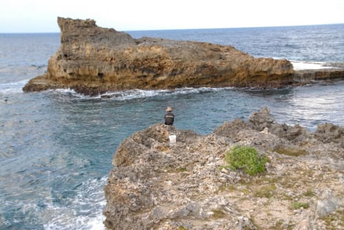 Mer. Locastudio. Locations Appartements. Guadeloupe. 