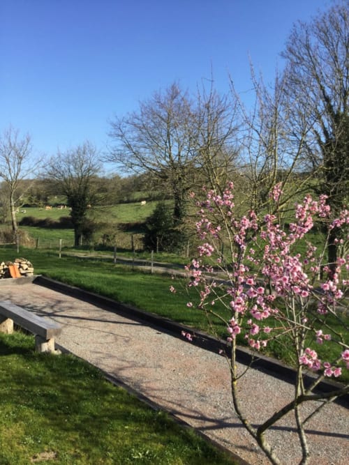 Blooming cherry trees frame the grounds of Logis De La Bénétière, a French countryside bed and breakfast in Treize-Vents
