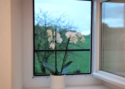 White orchid plant on windowsill at Logis De La Bénétière, overlooking garden view in Treize-Vents