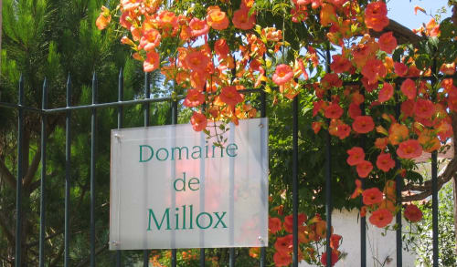Entrée. Domaine de Millox. Chambres d'hôtes. Pays Basque. Landes.