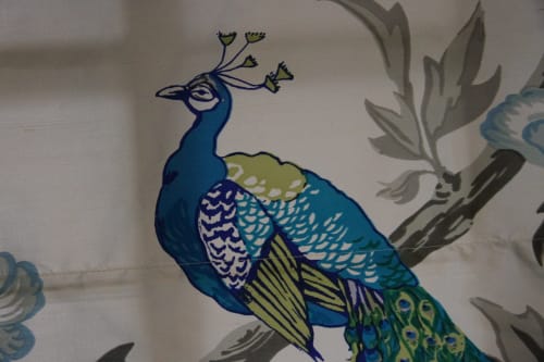 Drawing of a coloured bird