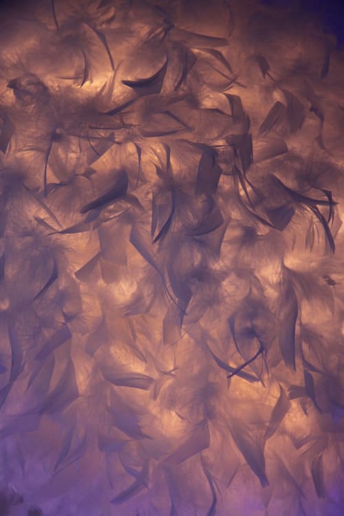 Feather lampshade