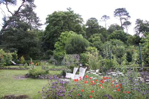 Beau jardin fleuri en France