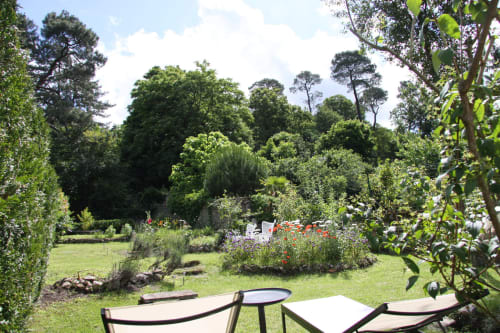 Grand jardin verdoyant et fleuri