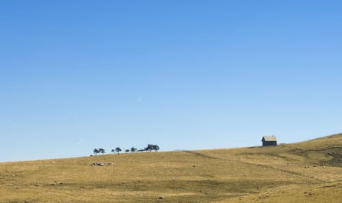 quoi voir dans l'aubrac - d'un jour à l'autre
