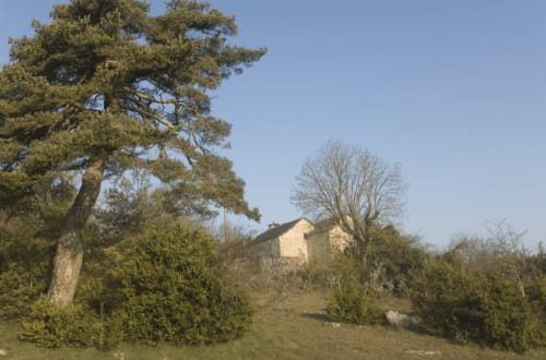 Les Grands Causses - d'un jour à l'autre