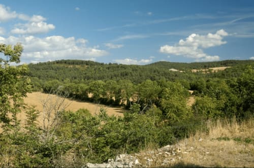  Parc Naturel Régional des Grands Causses