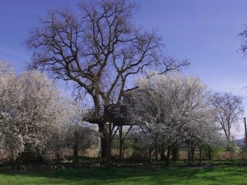 Les Robinsonades - Saint Christaud | Ecological accommodation - suspended tent and tree-house