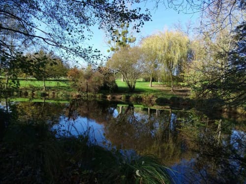 étangs reflets des arbres sur l'eau Traînefeuilles jardin parc 