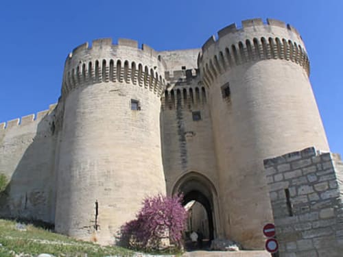 Le Fort-Saint-André-Villeneuve-les-Avignon-le mas des aromes-Gite