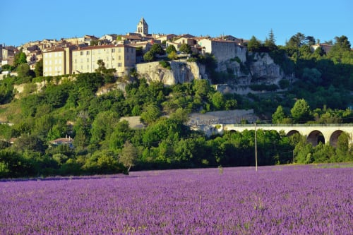 Sault- Vaucluse-le mas des aromes-Gite