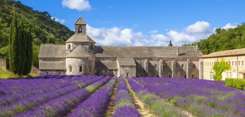 L'abbaye de Sénanque-le mas des aromes-Gite