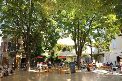 Saint-Rémy-de-Provence, le mas des arômes-Gite