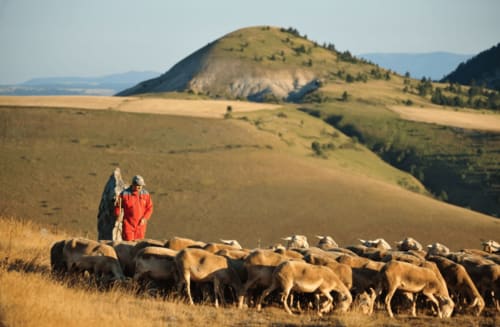 Autres activités en lozère