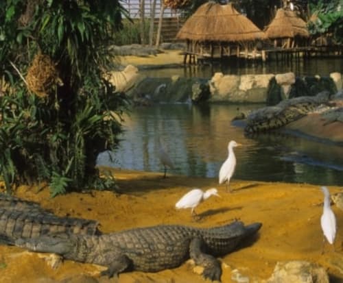 La ferme aux crocodiles-Pierrelatte