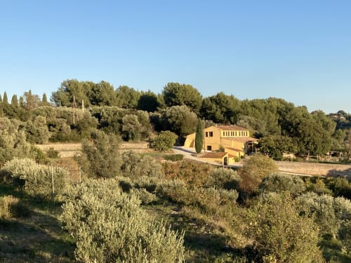 Saint Martin B&B nestled in olive groves, Ollioules France with terracotta stone architecture and cypress trees