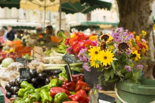 Marche de l'Isle-sur-la-Sorgue-Le Mas des Arômes-Gite