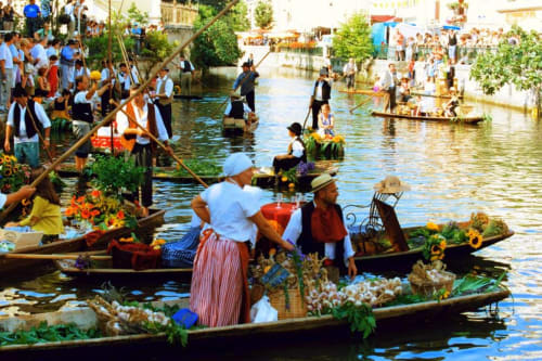 Marché flottant-Isle-sur-la-Sorgue-Le mas des aromes